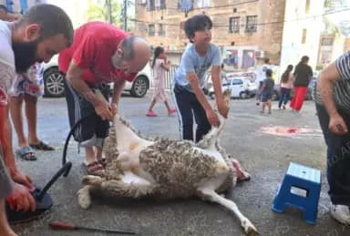 الجزائريون يحتفلون بعيد الأضحى المبارك في أجواء مميزة