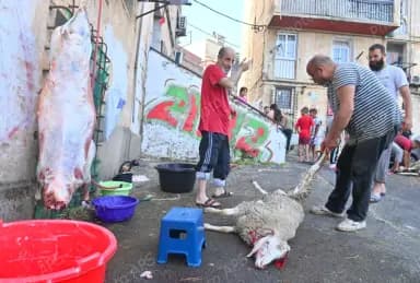 الجزائريون يحتفلون بعيد الأضحى المبارك في أجواء مميزة