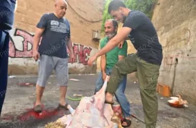 الجزائريون يحتفلون بعيد الأضحى المبارك في أجواء مميزة