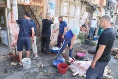 الجزائريون يحتفلون بعيد الأضحى المبارك في أجواء مميزة