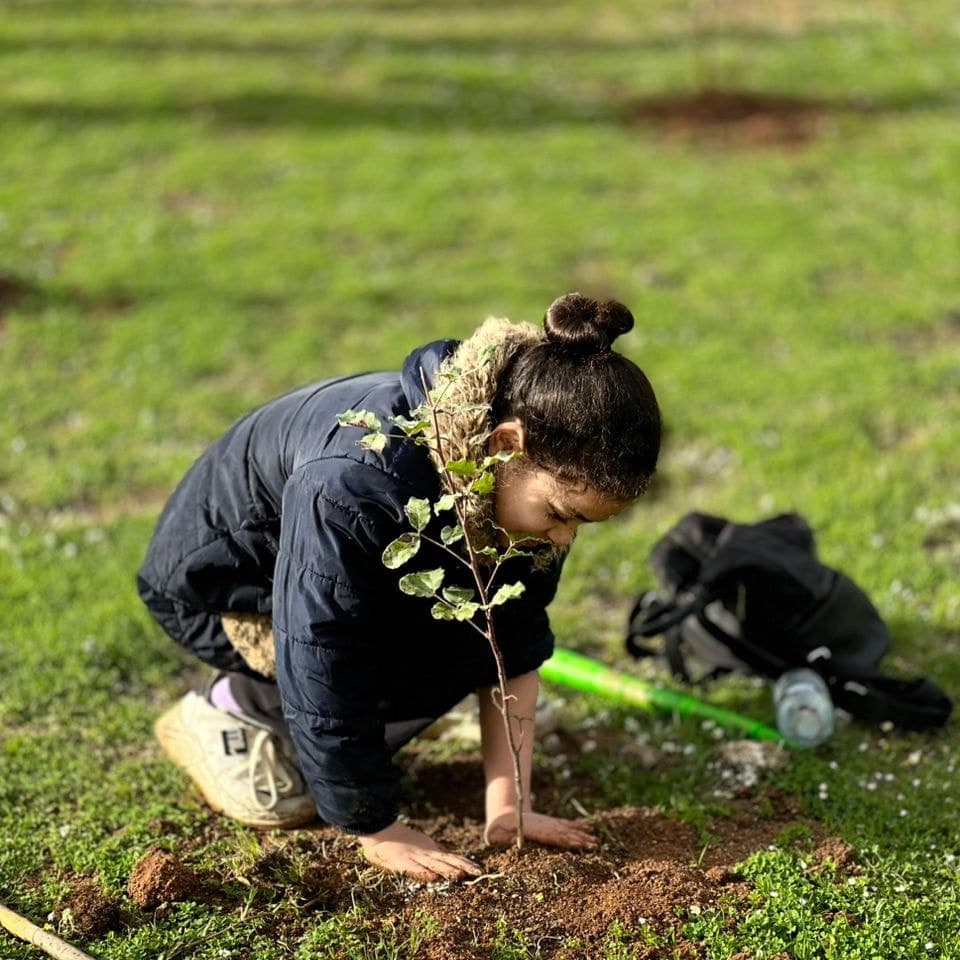 انطلاق أكبر حملة وطنية لغرس 5 ملايين شجيرة