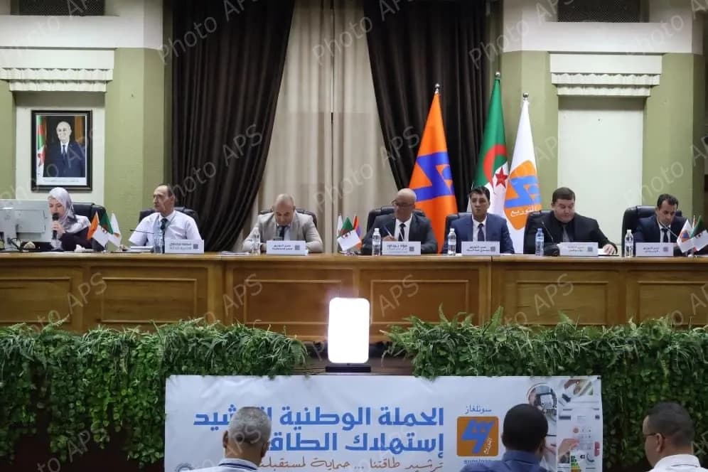 تسخير إمكانيات هامة لمواجهة الطلب المتزايد على الكهرباء خلال الصيف