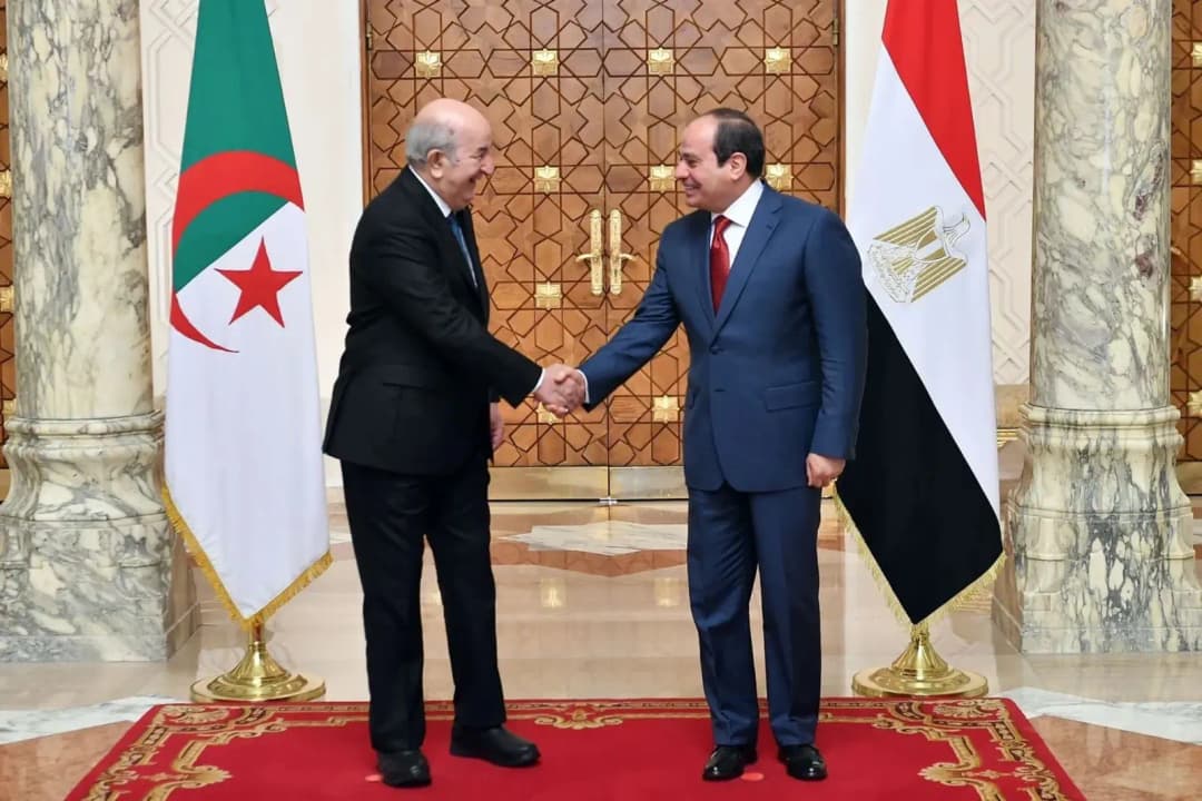 الجزائر مصر