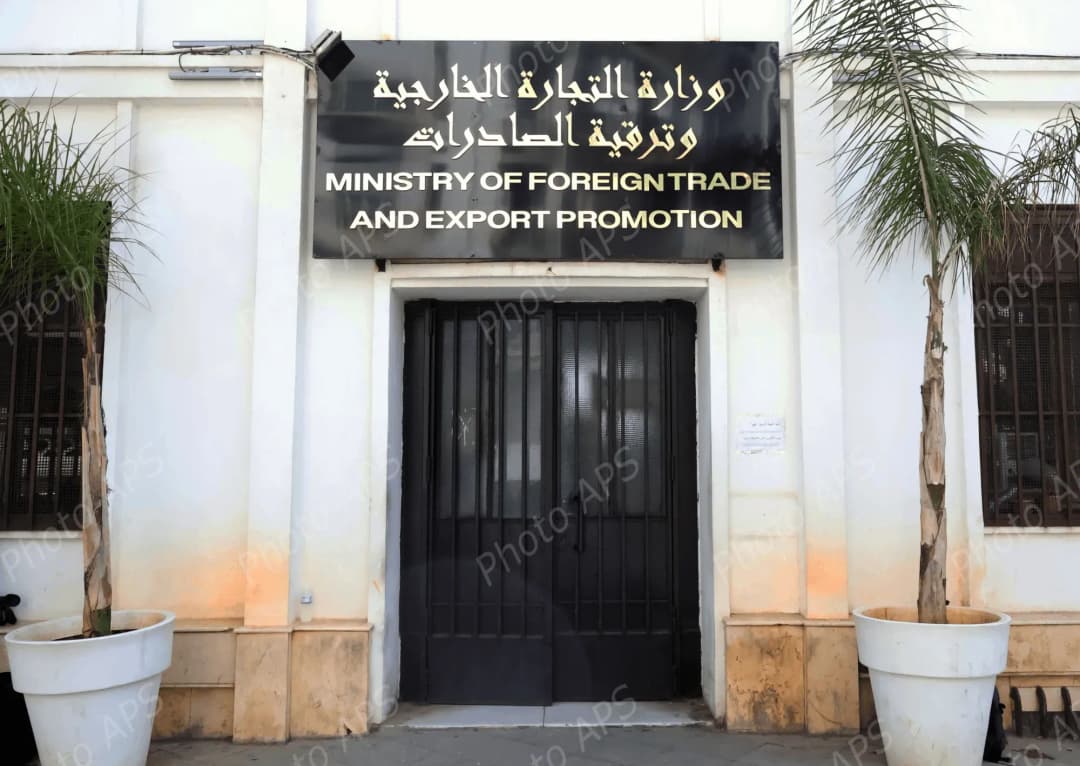 إطلاق المنصة الرقمية لاستيراد الخدمات ابتداء من 1 أغسطس المقبل