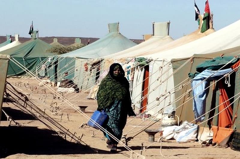 أزمة اللاجئين الصحراويين وليدة "عدم استكمال مسار تصفية استعمار"