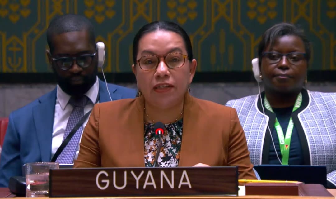 مجلس الأمن: مجموعة "أ3+" تؤكد أن الانتخابات المقبلة في جمهورية إفريقيا الوسطى فرصة أساسية لتعزيز السلام في البلاد