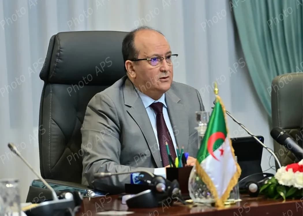 الوزير الأول يبرز أهمية تعزيز المبادلات التجارية والاقتصادية بين البلدين