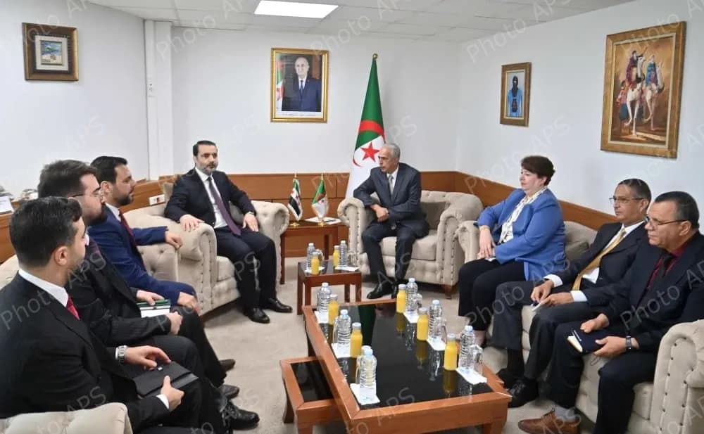 وزير المناجم والصناعات المنجمية يستقبل وزير الخارجية السوري