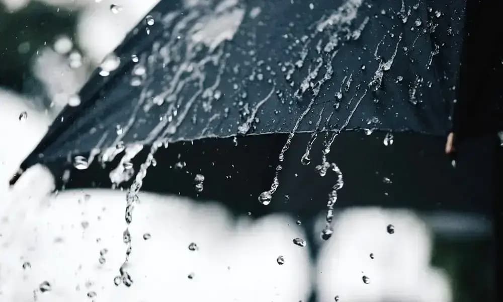 أمطار رعدية وزوابع رملية مرتقبة بعدة ولايات من الوطن اليوم الأحد وغدا الاثنين