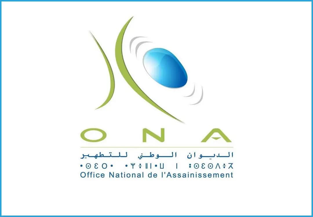 الديوان الوطني للتطهير