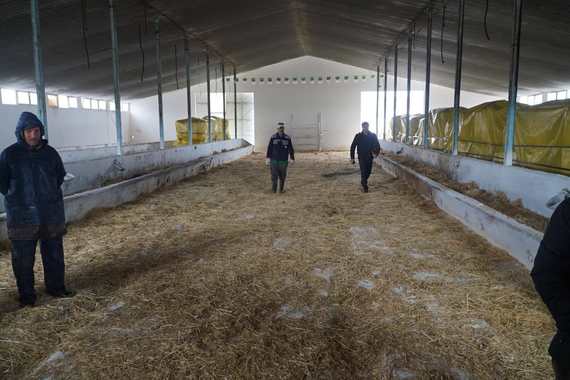 تحديد 10 نقاط لبيع أضاحي العيد المستوردة