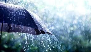 استمرار تساقط الأمطار بعدة ولايات من الوطن