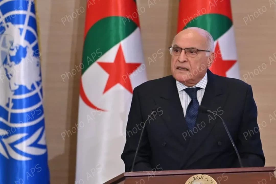 عطاف يجدد مواقف الجزائر التاريخية في نصرة القضايا العادلة