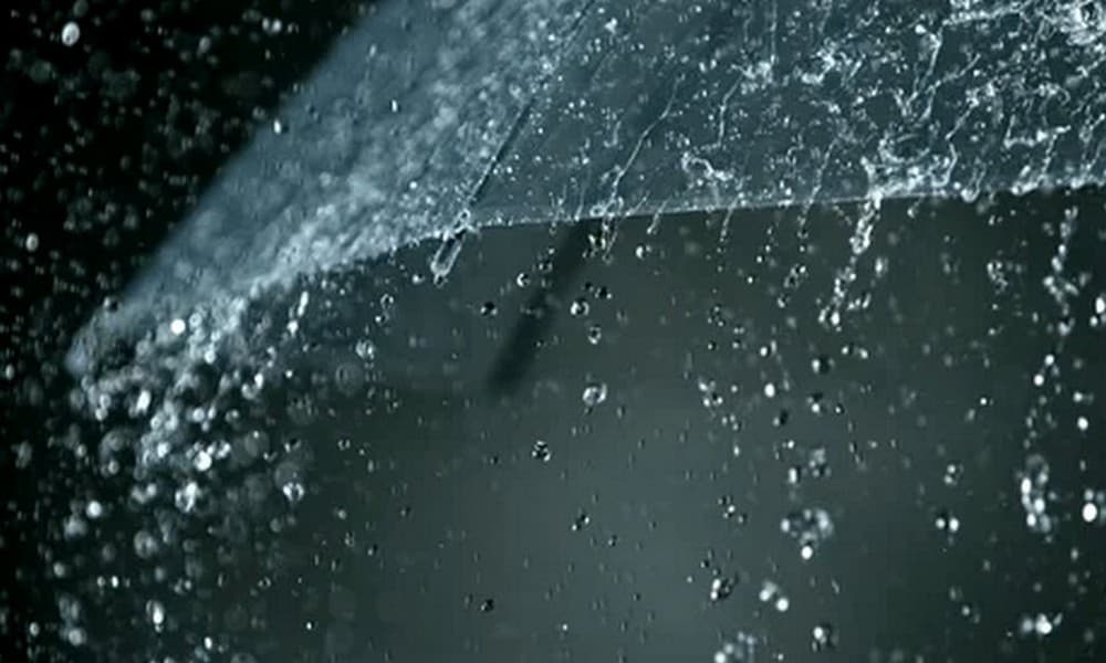 نشرية خاصة