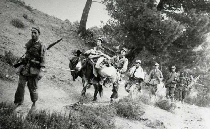 حرب التحرير المجيدة