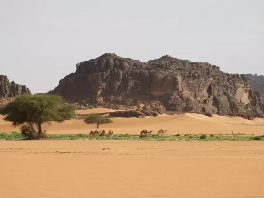 جرد 510 موقع أثري وطبيعي جديد بالحظيرة الثقافية للتاسيلي ن أزجر بجانت