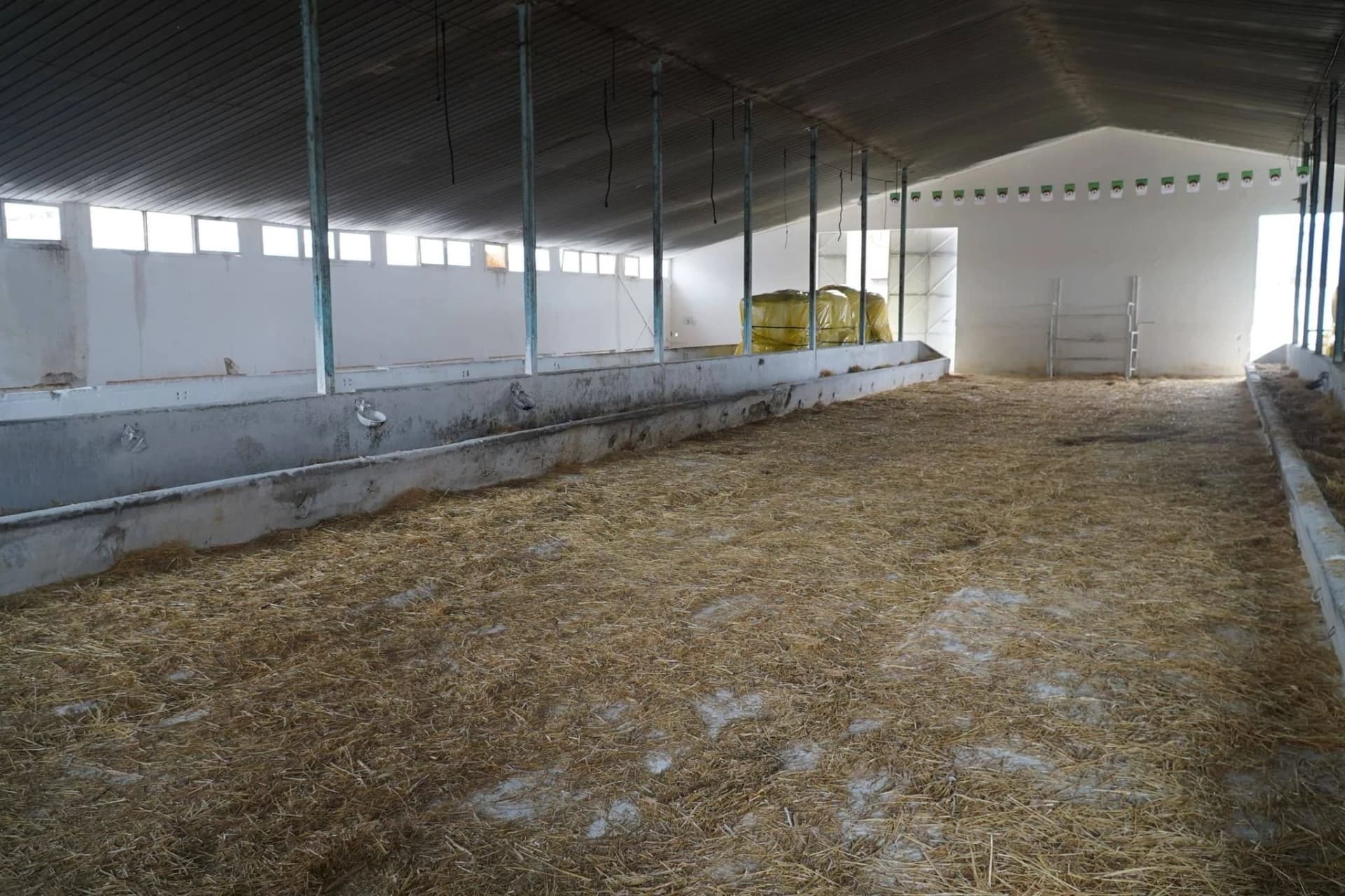 تحديد 10 نقاط لبيع أضاحي العيد المستوردة