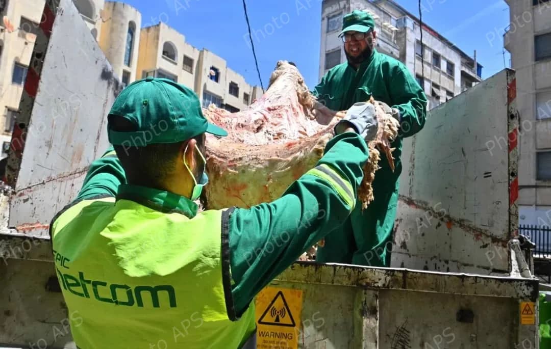 مؤسسة "نات كوم": برنامج خاص لضمان نظافة أحياء العاصمة طيلة أيام عيد الأضحى