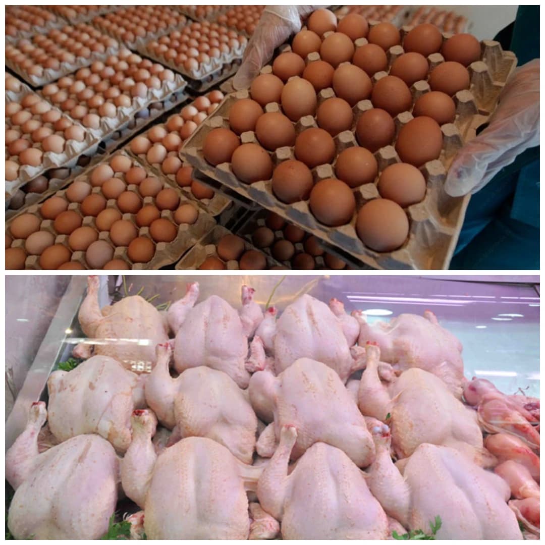 مجمع "أوناب" يسطر برنامجا لتعزيز تموين السوق الوطنية باللحوم البيضاء