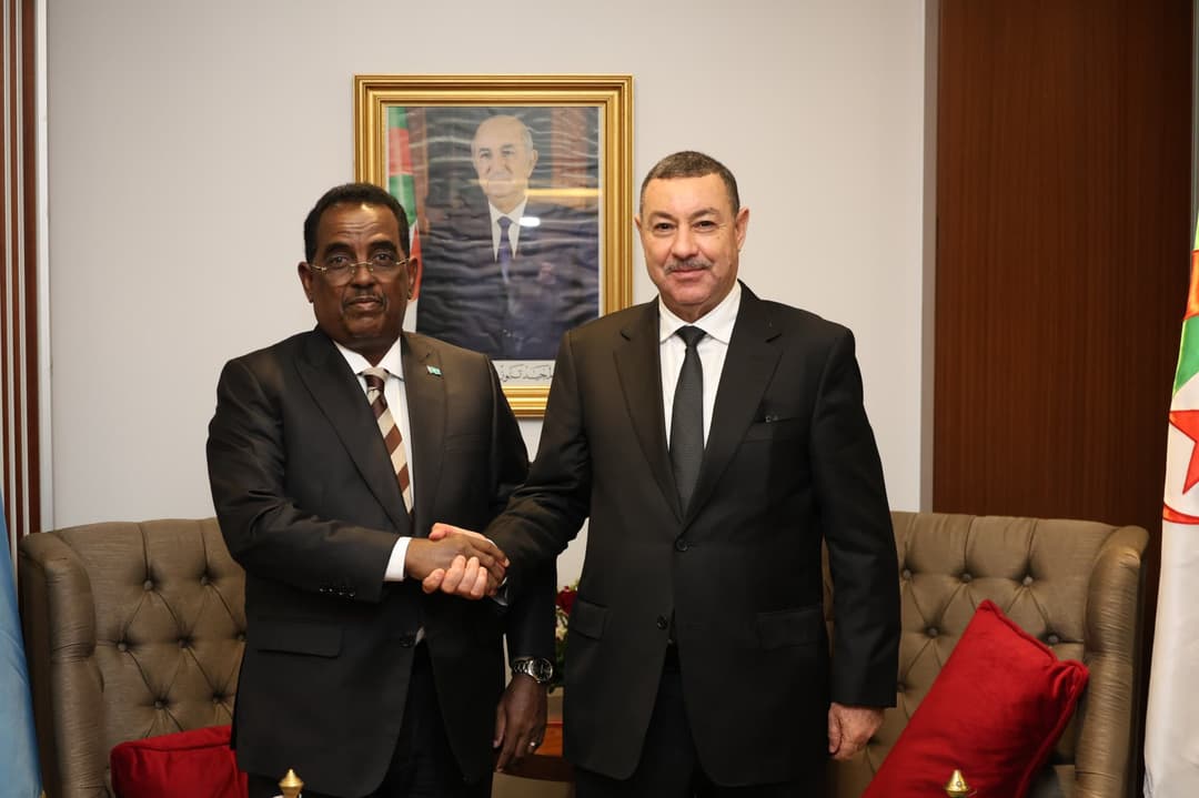 السيد سعيود يستقبل وزير الداخلية والشؤون الفيدرالية والمصالحة الصومالي