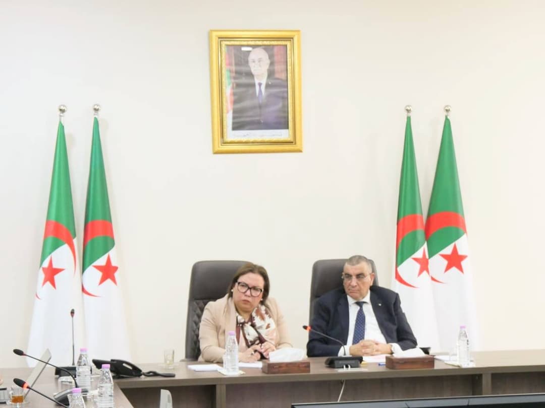 وتطوير الكفاءات