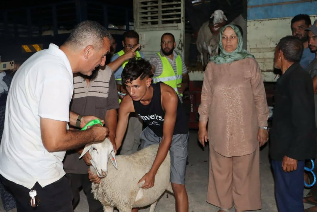 الشروع في تعويض مربي المواشي المتضررين من الحرائق