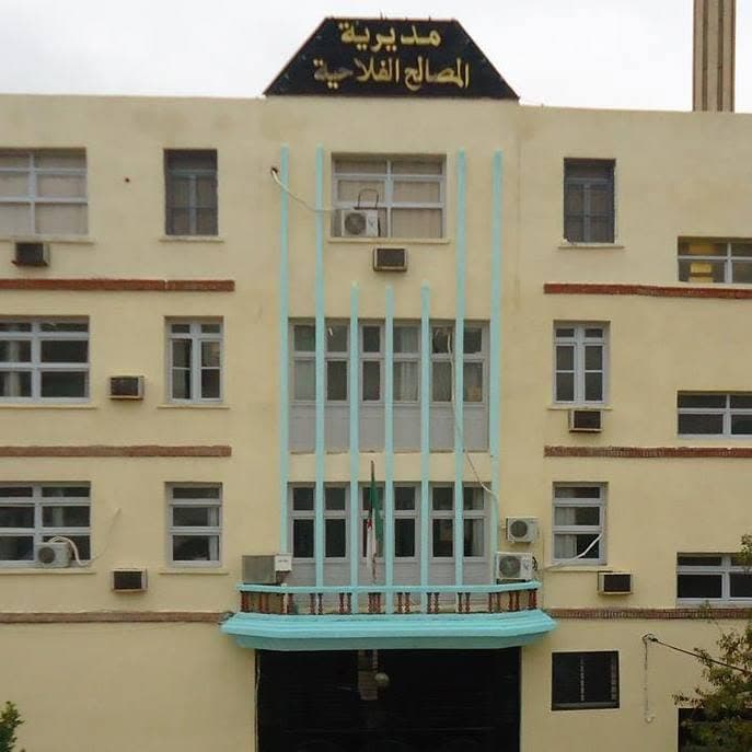 يوم تقني لفائدة منتجي البطاطس لتطوير الشعبة و رفع مردودها