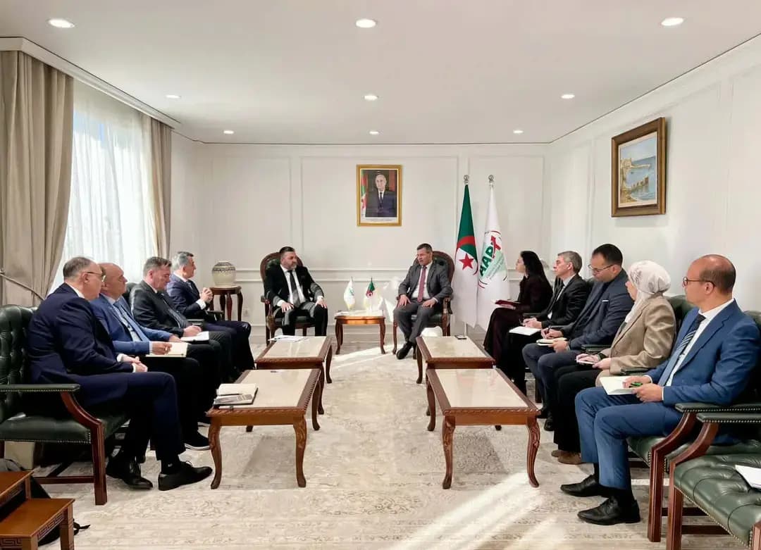 阿尔及利亚投资促进署与波斯尼亚-黑塞哥维那代表团审议工业和能源项目