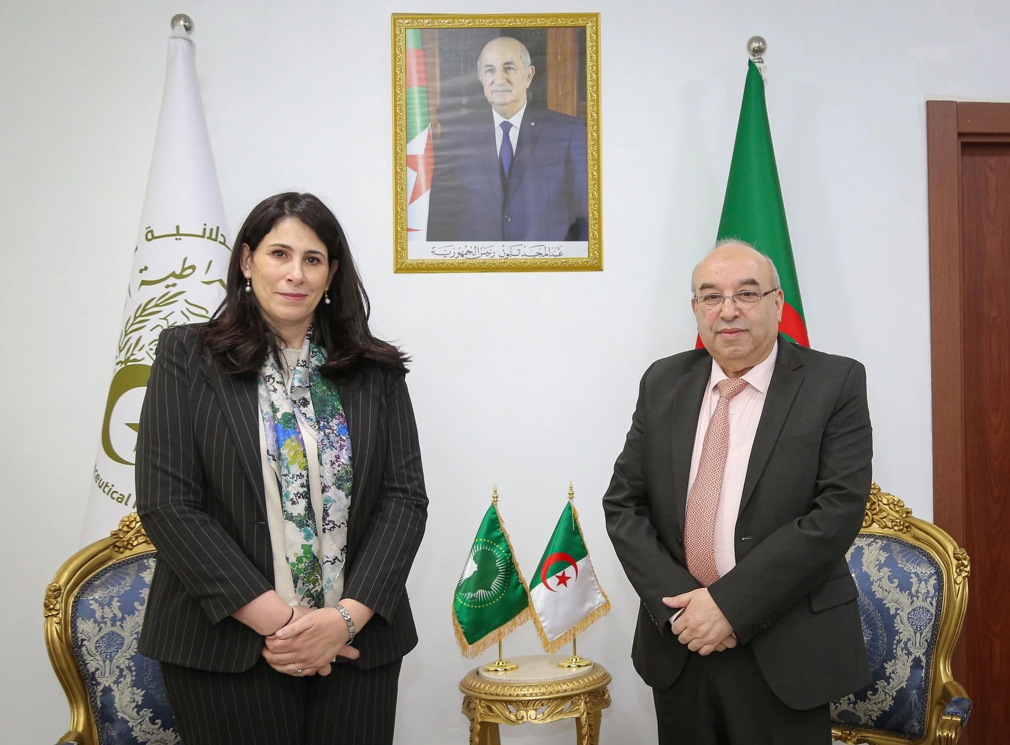 古伊德里部长会见非洲联盟专员副主席