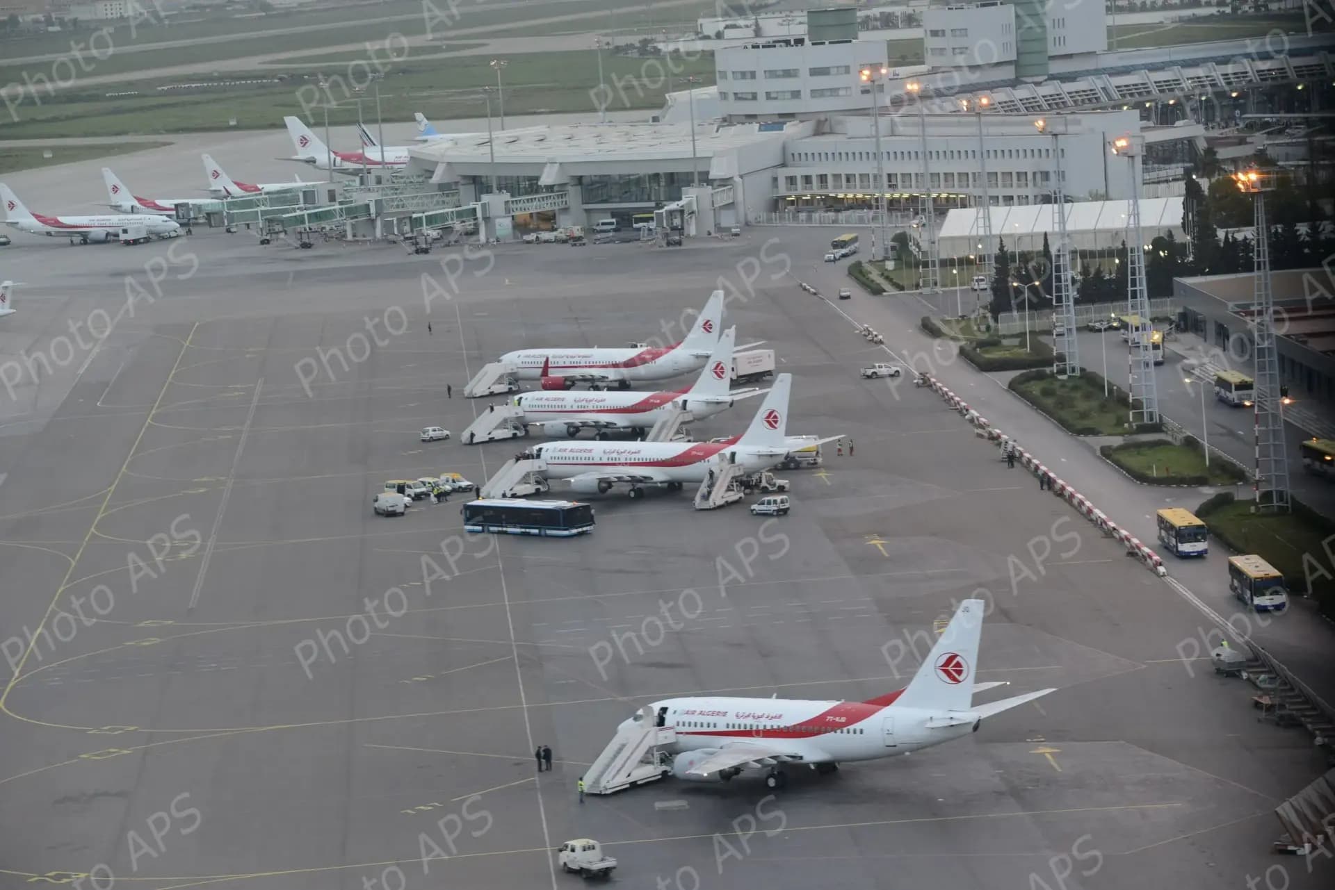 阿尔及利亚航空：阿尔及尔和奥兰机场浓雾导致航班受影响