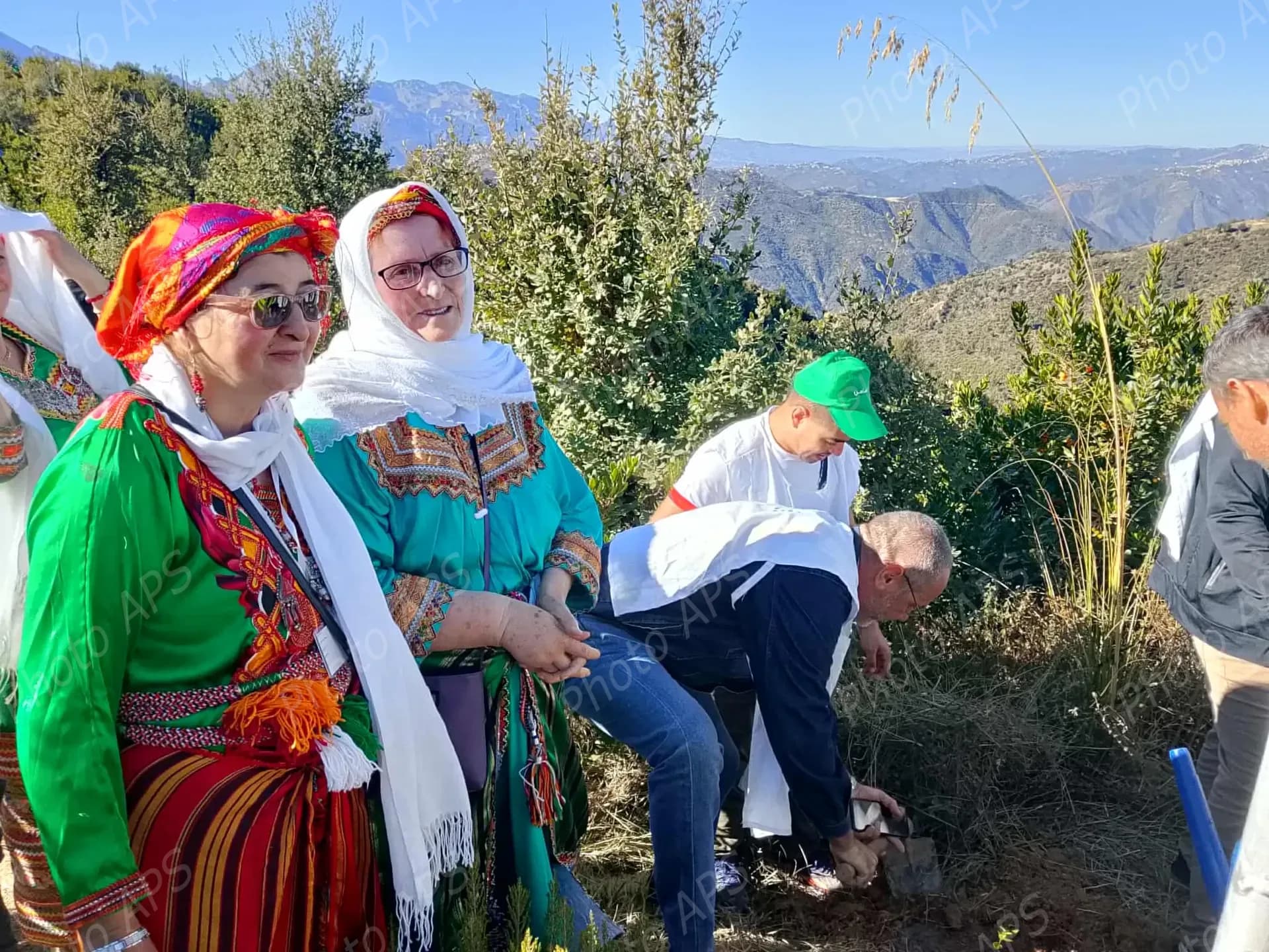 “植树一百万棵”活动：全国各地公民踊跃参与，掀起前所未有的绿色热潮