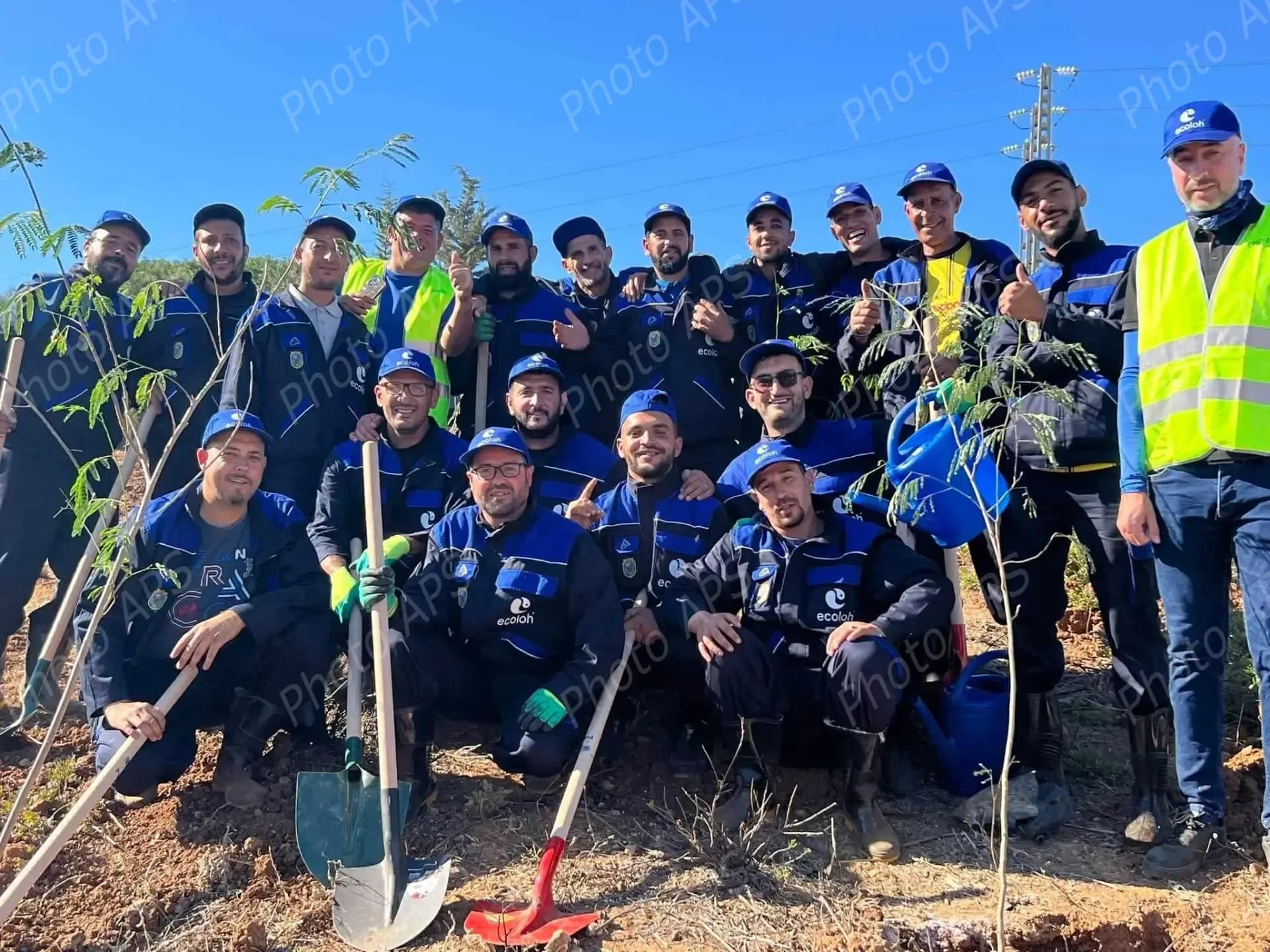 “植树一百万棵”活动：全国各地公民踊跃参与，掀起前所未有的绿色热潮