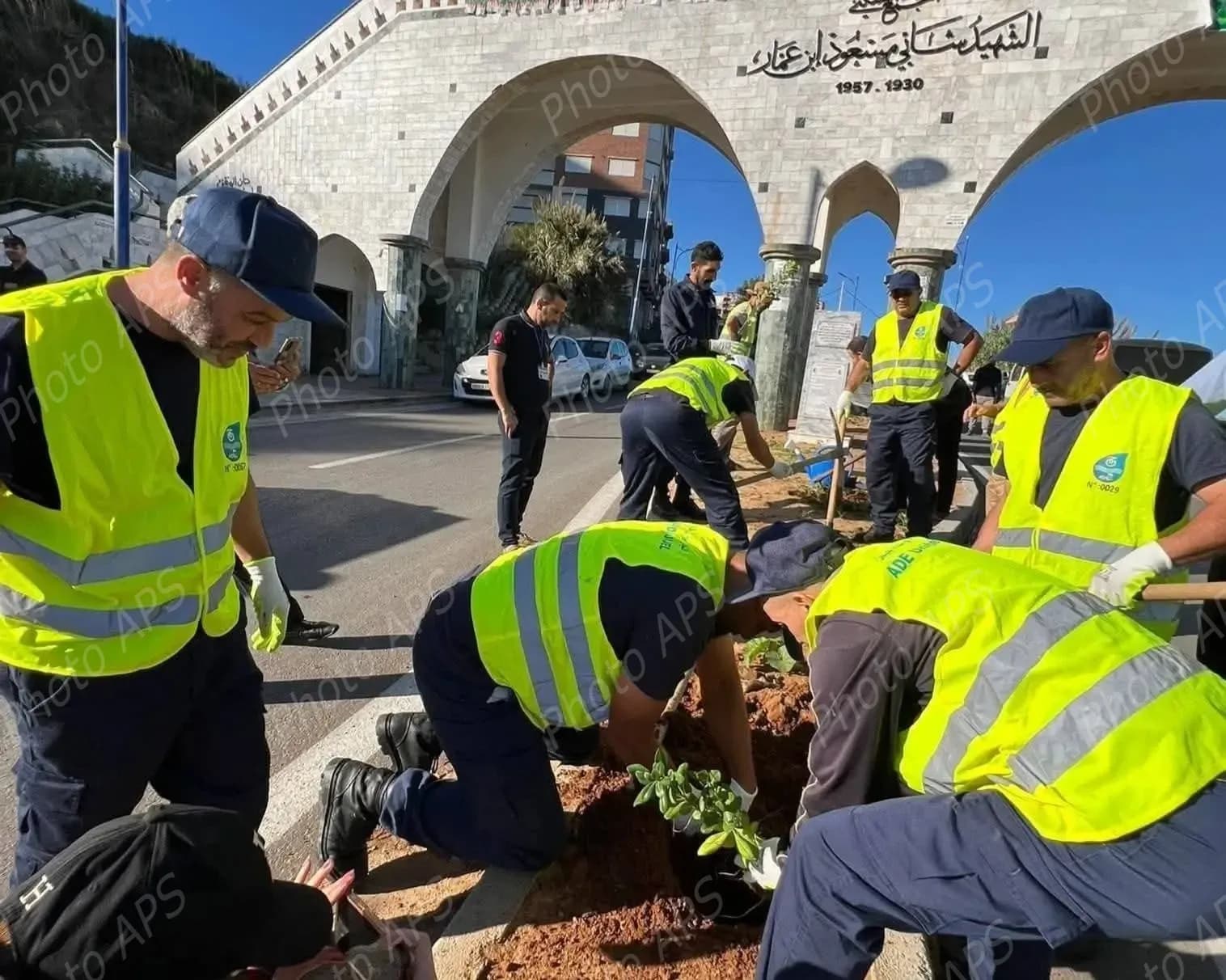 “植树一百万棵”活动：全国各地公民踊跃参与，掀起前所未有的绿色热潮