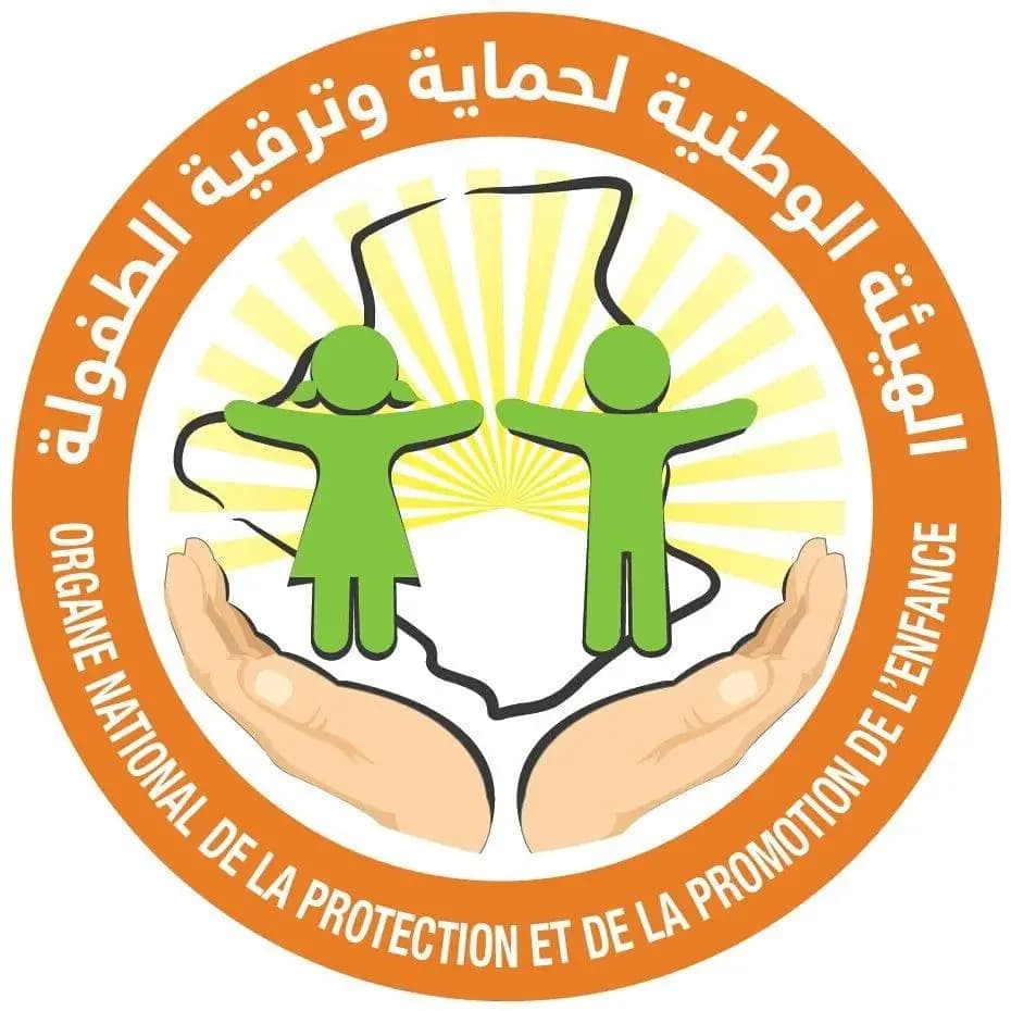 建立一个隶属于国家儿童保护机构的网络安全监测小组，将使其能够更加高效地履行职责