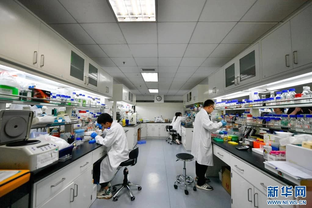 中国科学家驳斥了在适量摄入情况下动物脂肪的危害