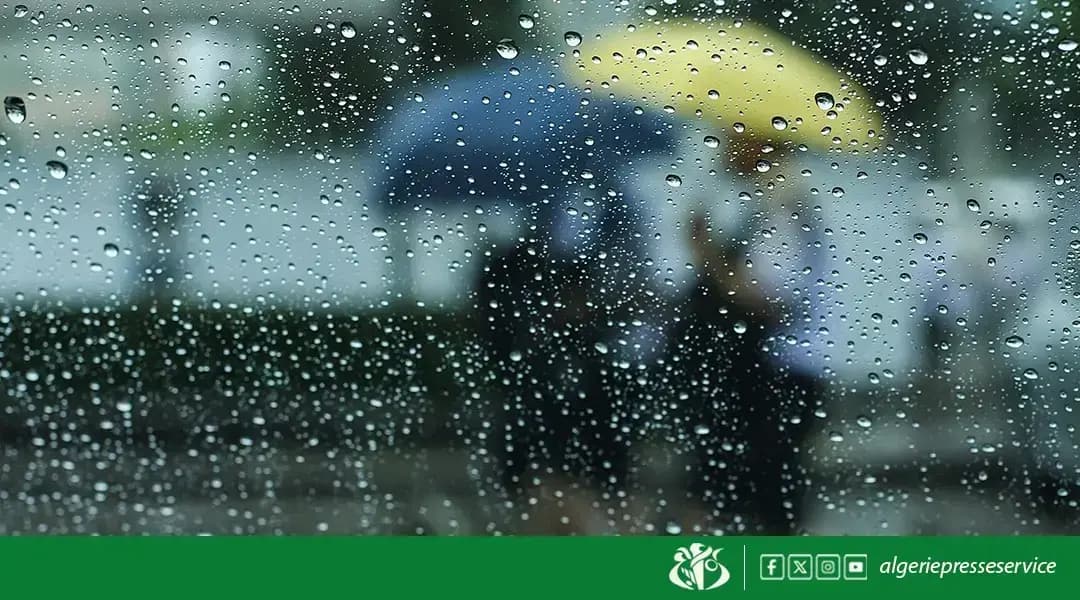阿尔及利亚多省将从周日开始出现降雨