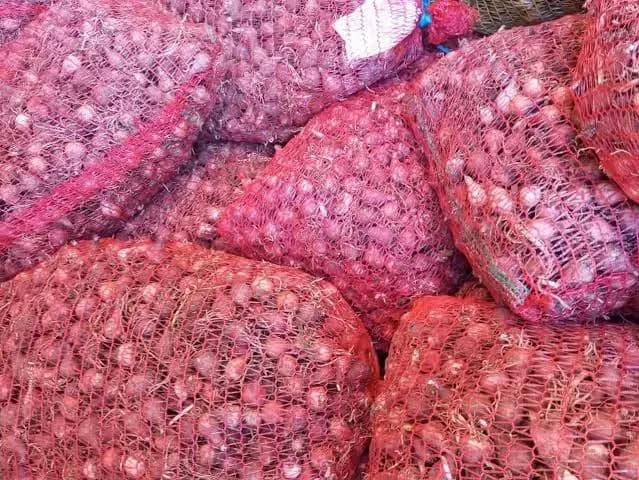 干洋葱产量超过13.3万公担