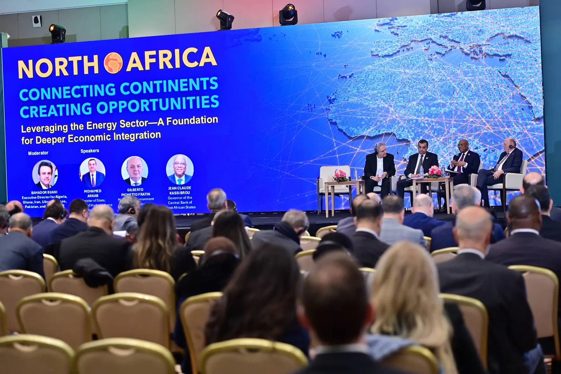 阿尔卡布强调阿尔及利亚在国际能源舞台上的重要地位