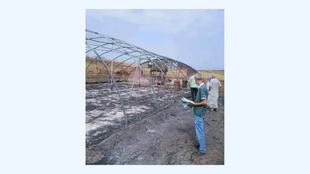 地方政府继续落实应对火灾后果的各项措施