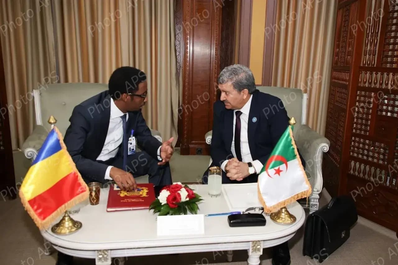 阿尔及利亚与乍得代表团成员举行双边会谈