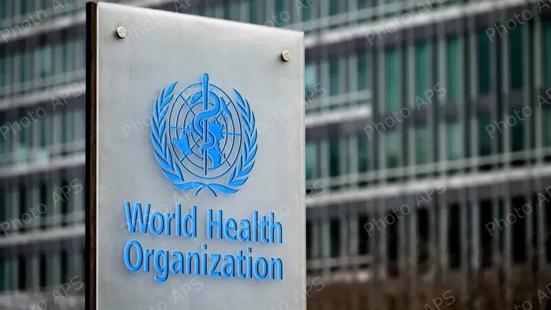 巴勒斯但，加沙，装载医疗物资卡