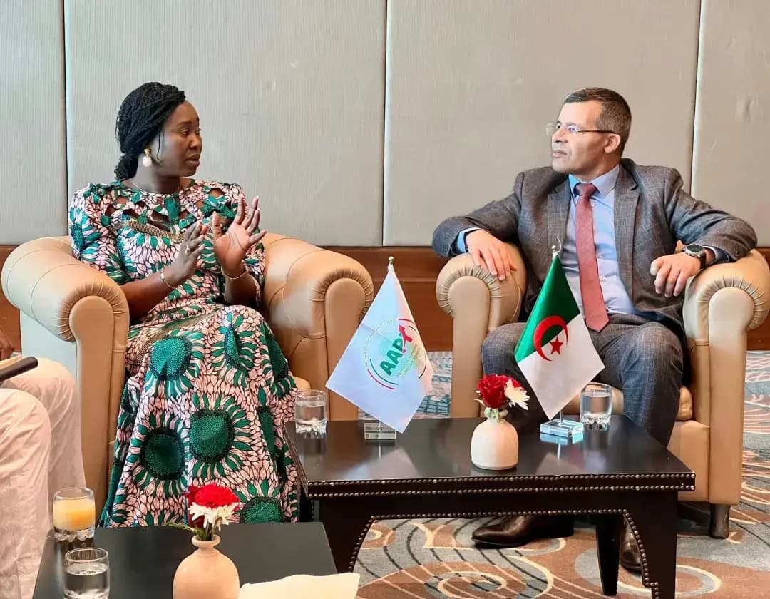 阿尔及利亚投资促进署与乍得同行探讨加强合作