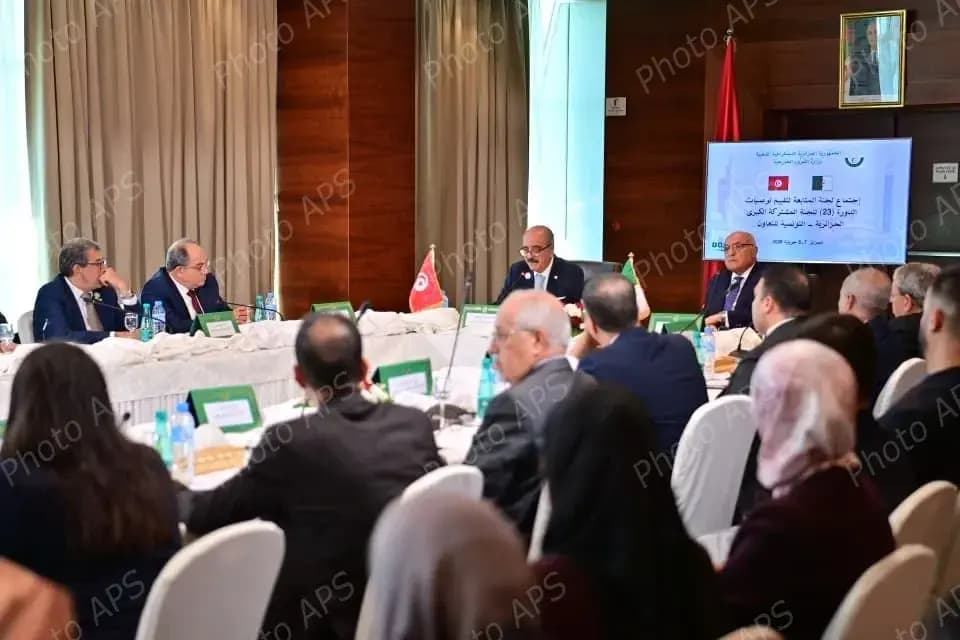 负责评估第23届阿尔突混合大委员会会议建议落实情况的跟踪委员会会议开始举行