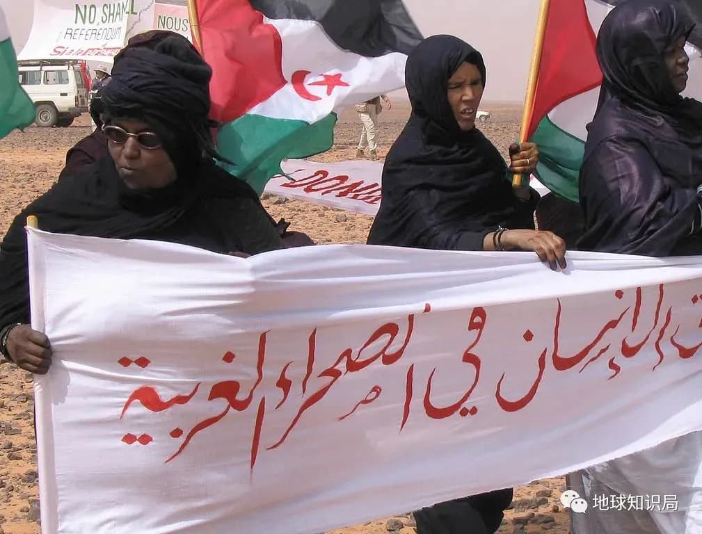 欧洲一致支持西撒哈拉人民自决权及完全主权对自然资源的控制