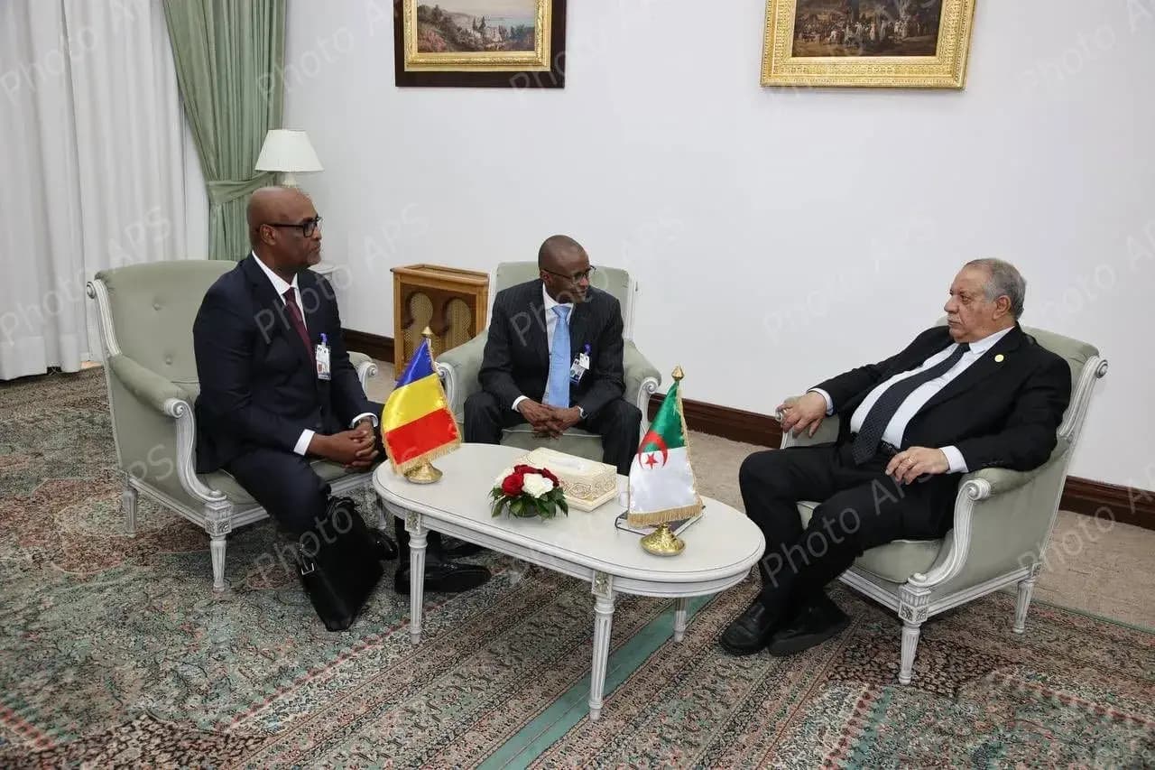 阿尔及利亚与乍得代表团成员举行双边会谈