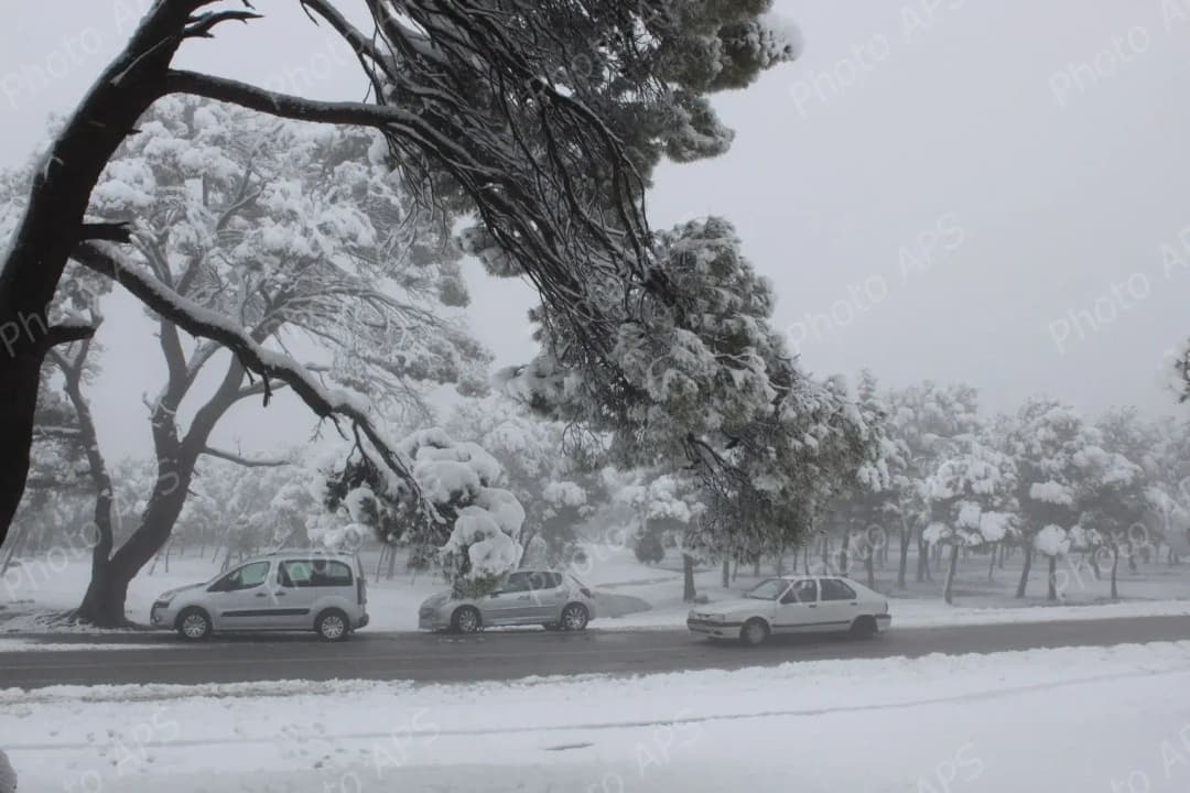 阿尔及利亚国家气象局