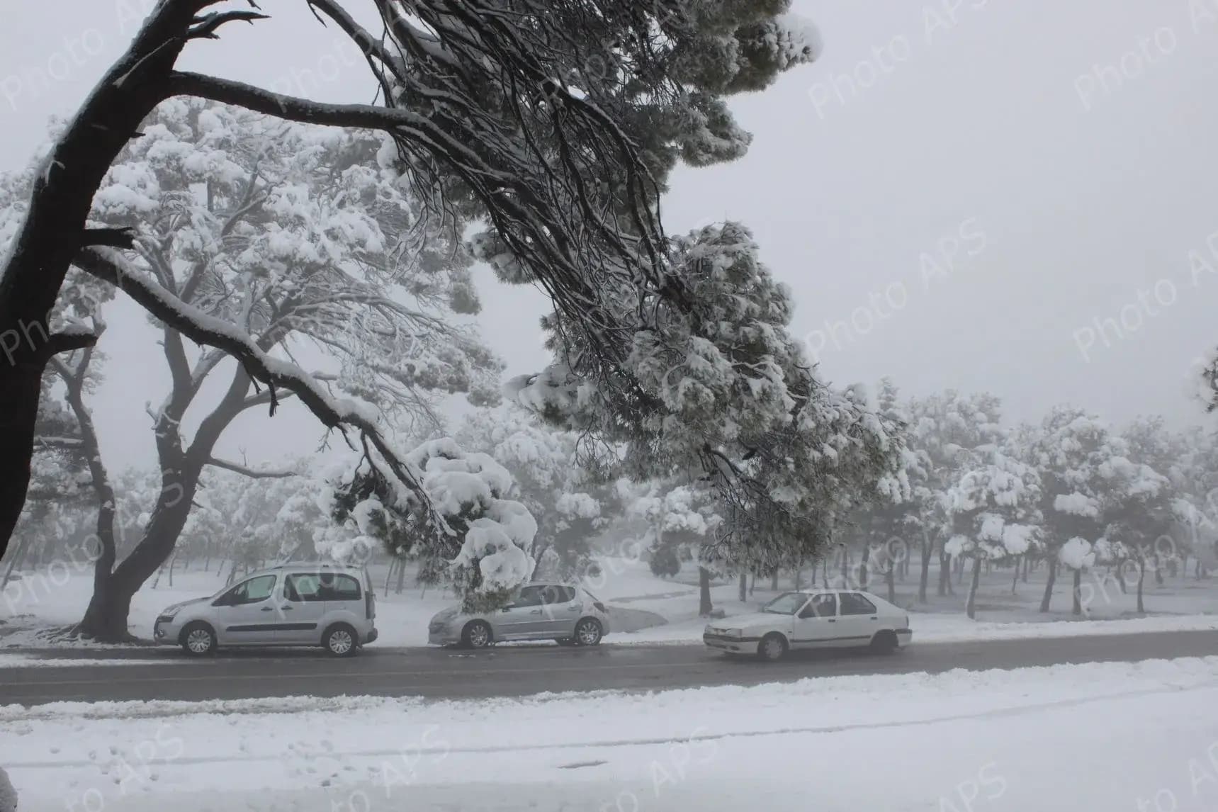 阿尔及利亚国家气象局