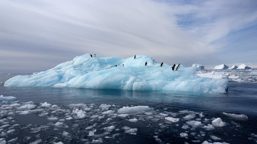 新研究揭示南极变暖放大机制