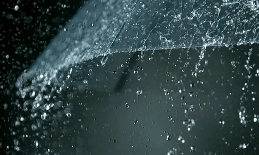特别天气预报
