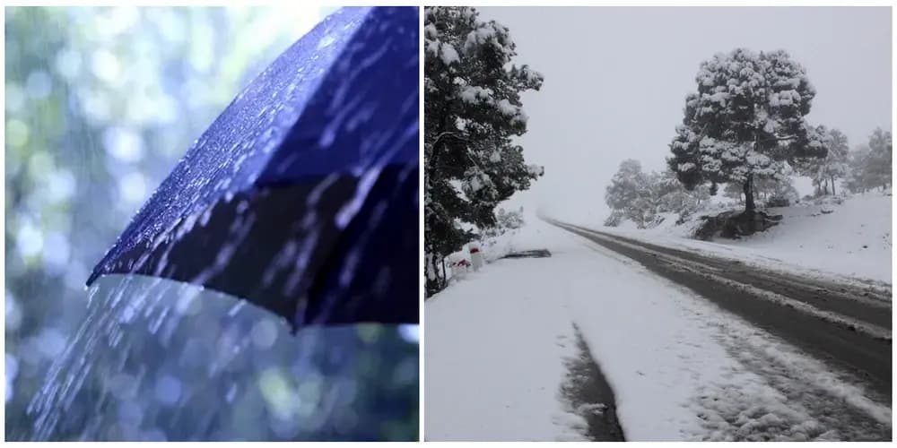 阿尔及利亚：多省持续降雨和降雪至周四